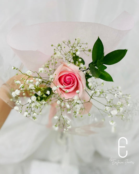 Single Rose