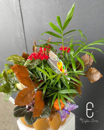 Pumpkin Garden