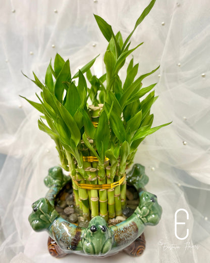 Bamboo#3