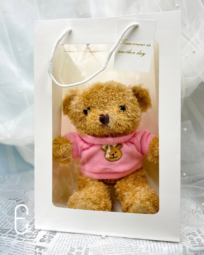 Pink Hoodie Bear Doll