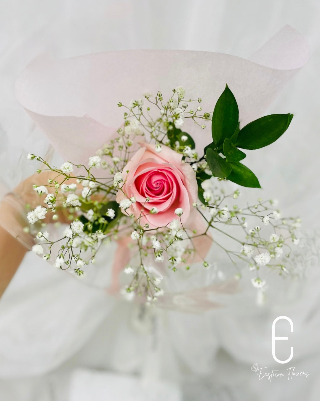 Single Rose
