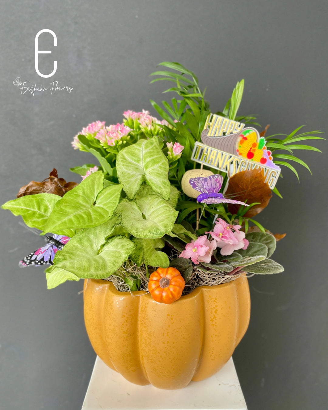 Pumpkin Garden