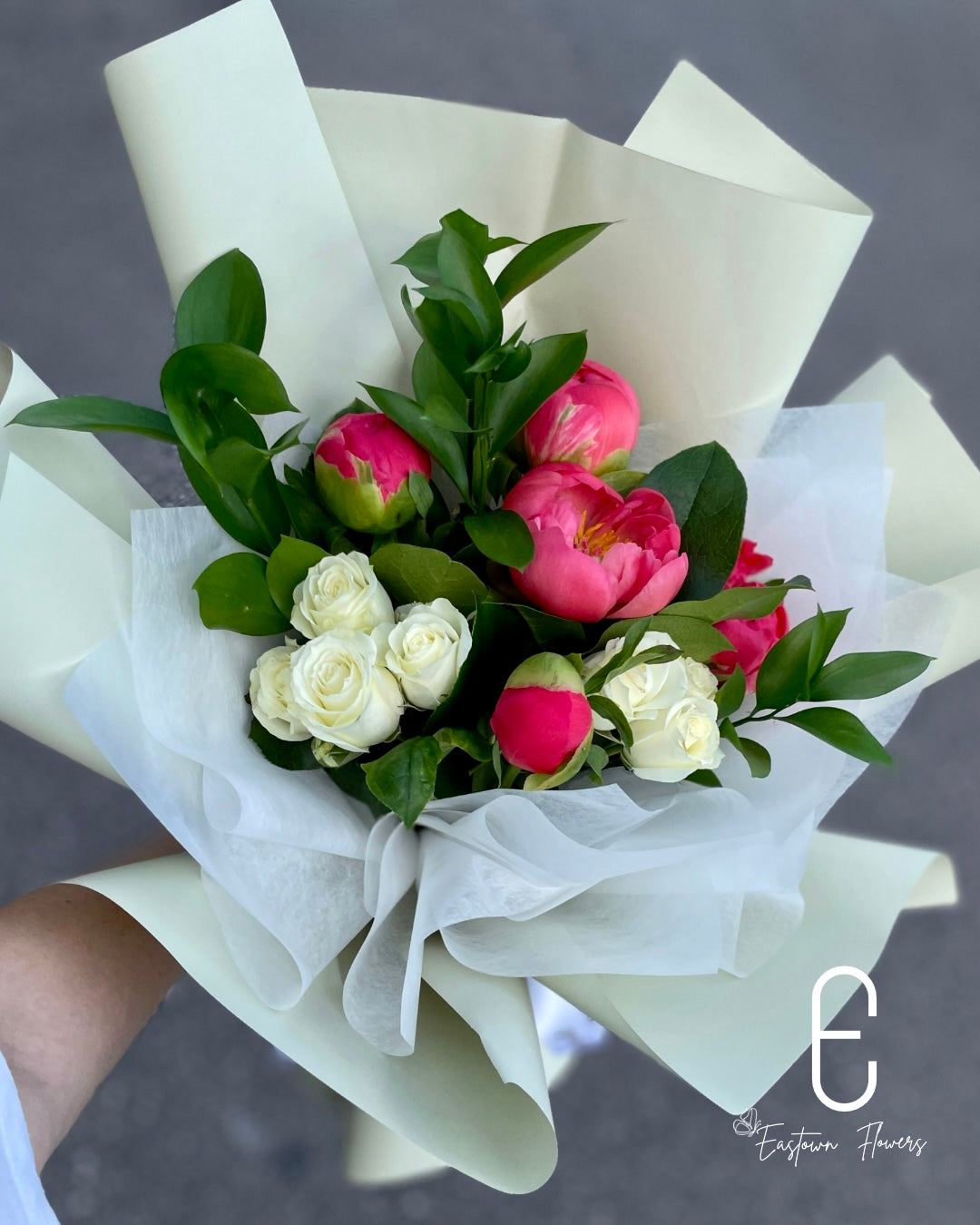 Coral Peony