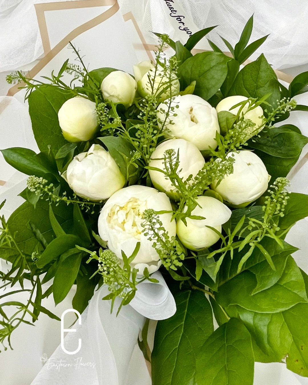 White Peony