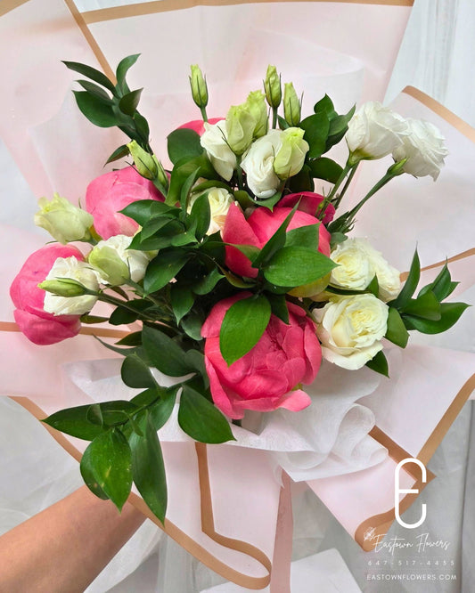 Coral Peony