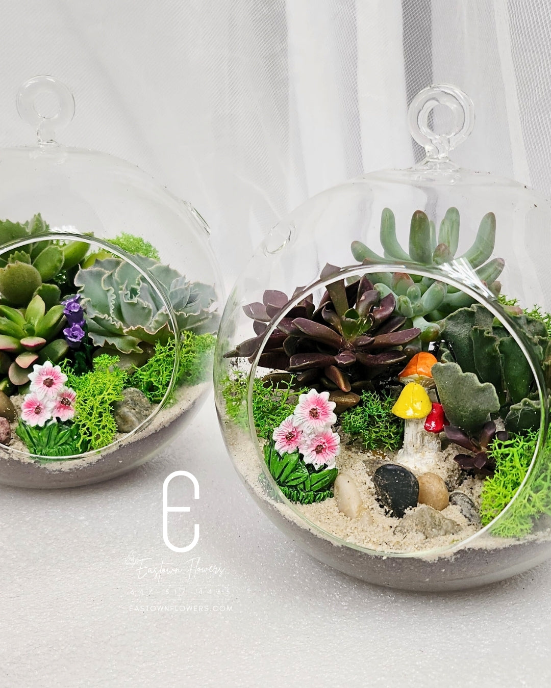 The tiny oasis