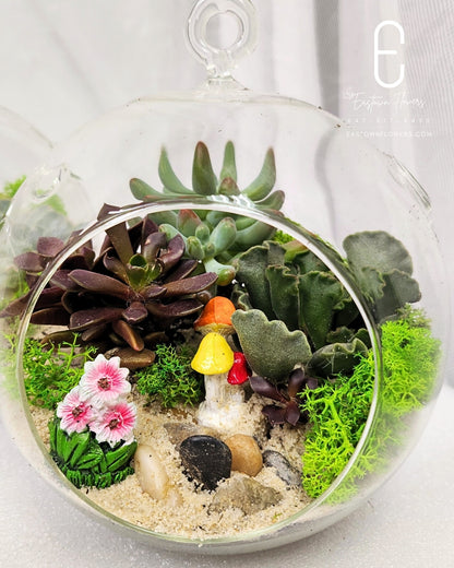 The tiny oasis