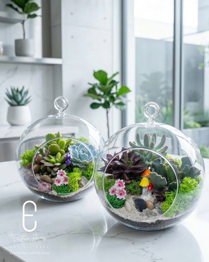 The tiny oasis