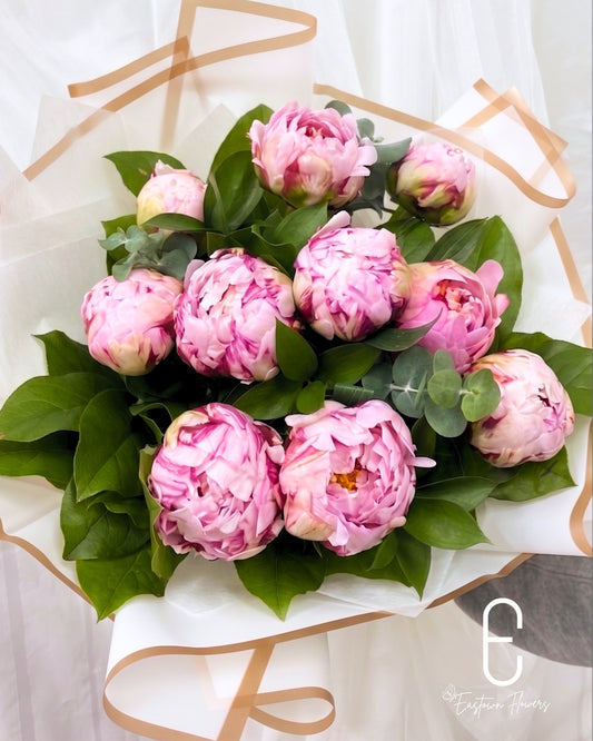 Pink Peony