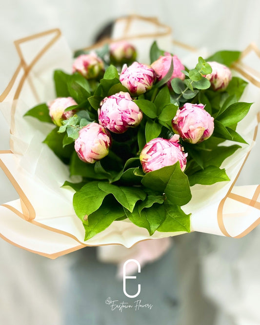 Pink Peony
