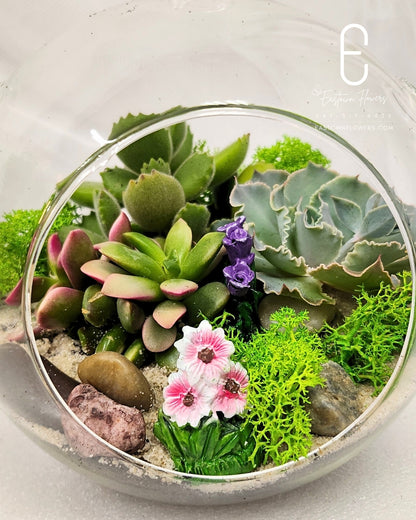 The tiny oasis