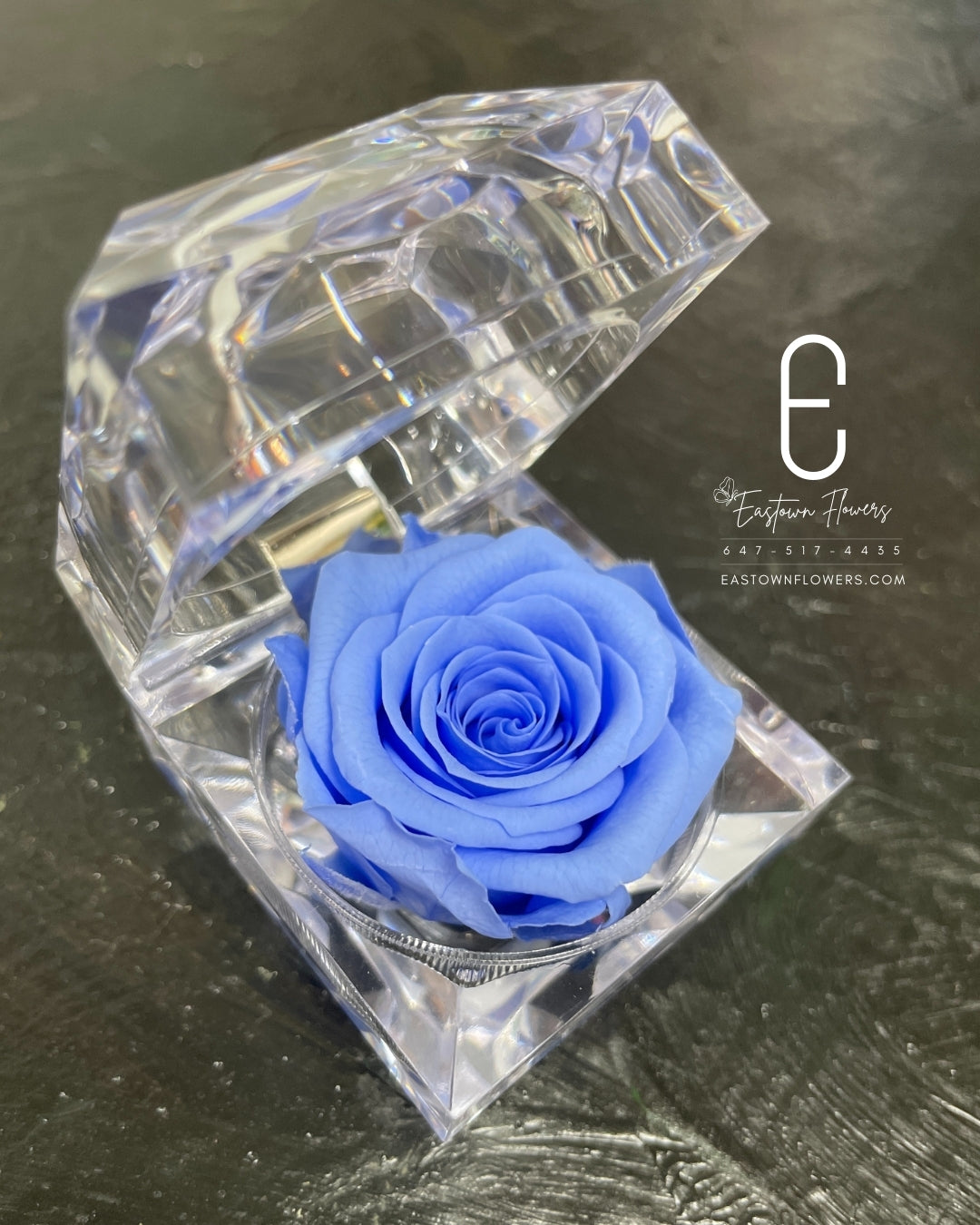 Mini Preserved Rose