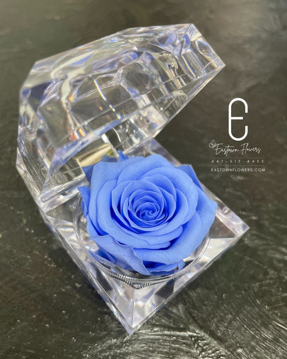 Mini Preserved Rose
