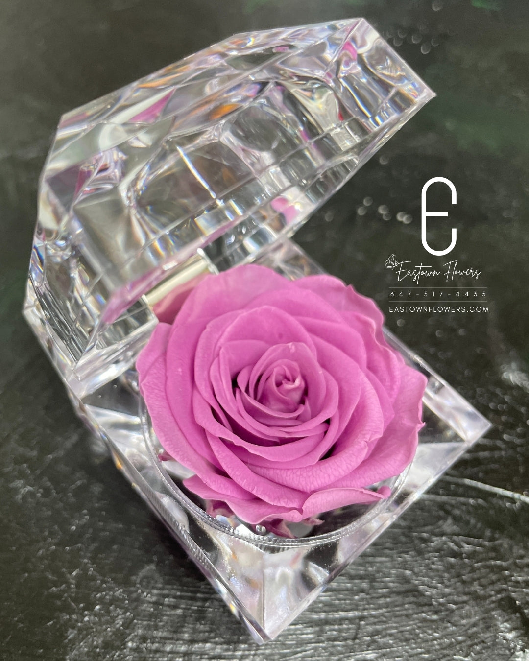 Mini Preserved Rose