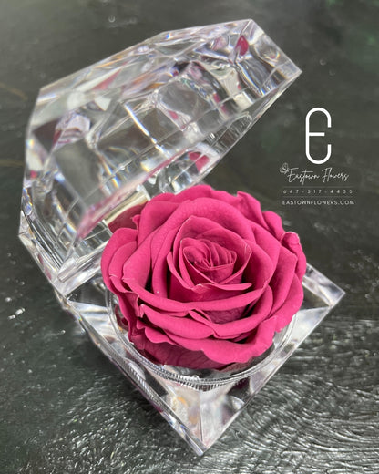 Mini Preserved Rose