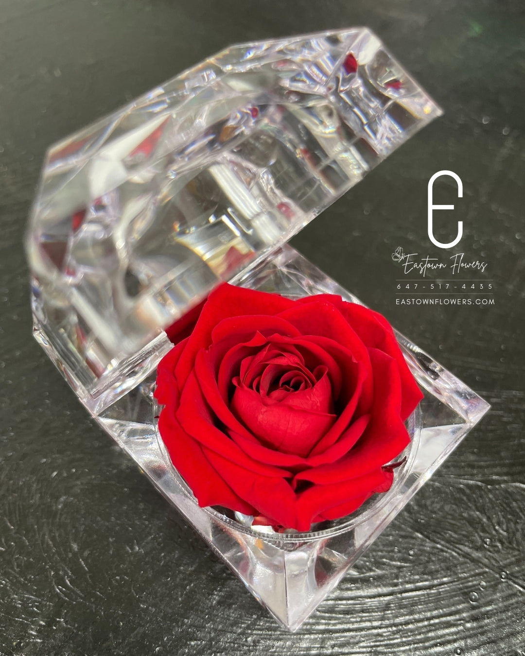 Mini Preserved Rose