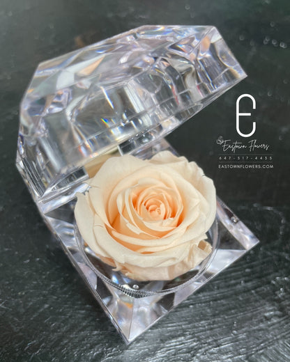 Mini Preserved Rose