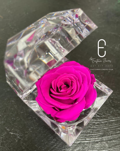 Mini Preserved Rose