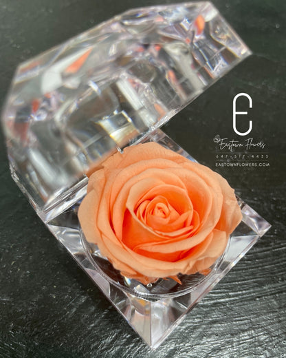 Mini Preserved Rose
