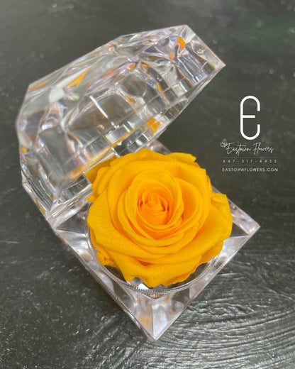 Mini Preserved Rose