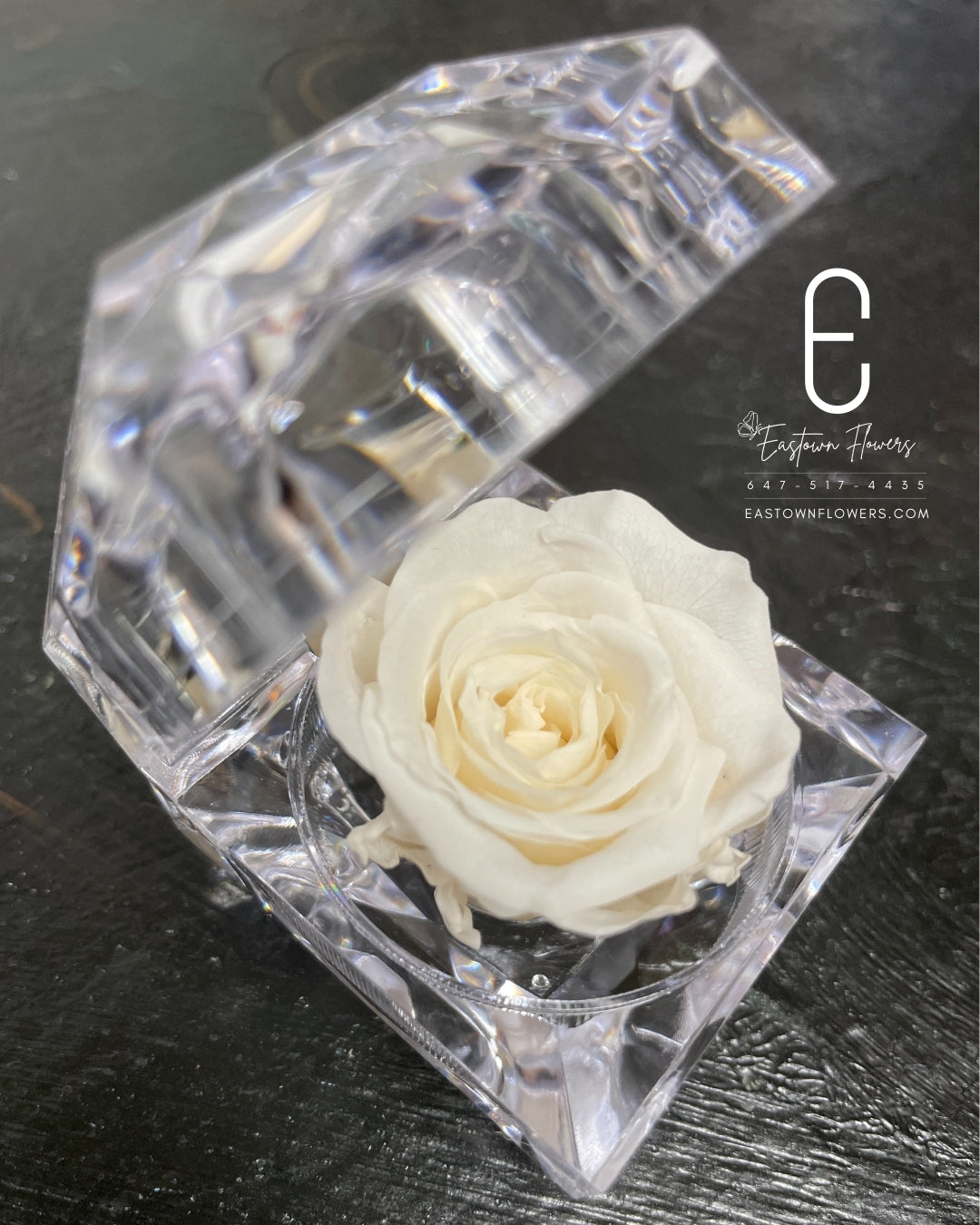 Mini Preserved Rose