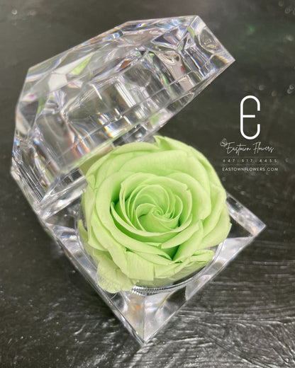 Mini Preserved Rose