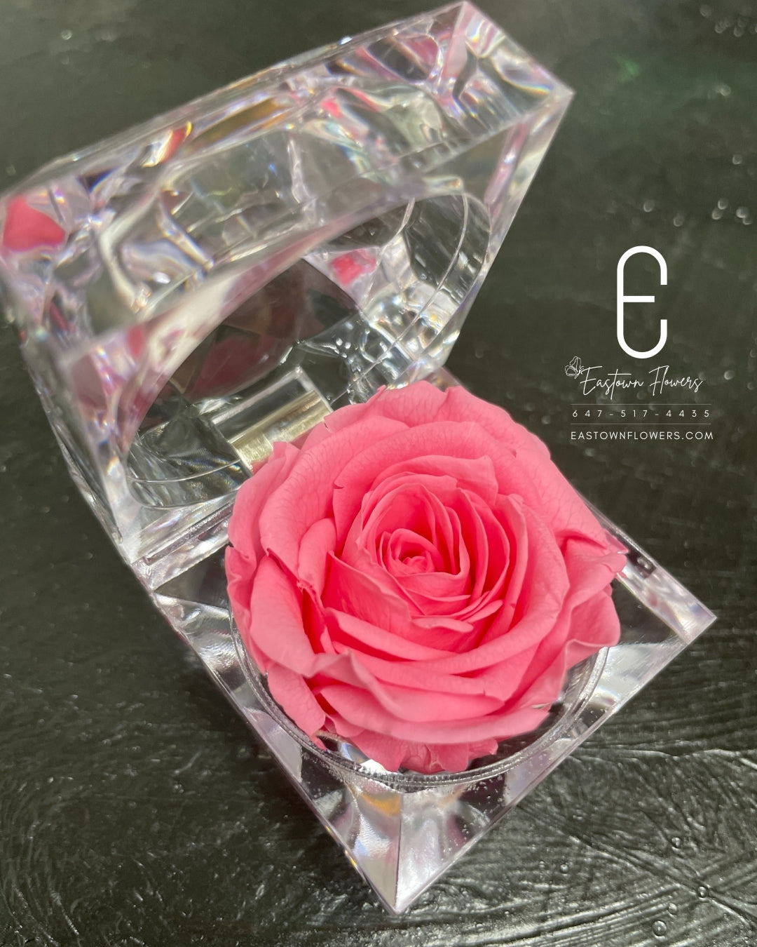 Mini Preserved Rose