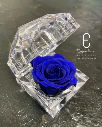 Mini Preserved Rose