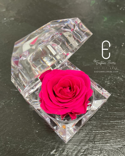 Mini Preserved Rose