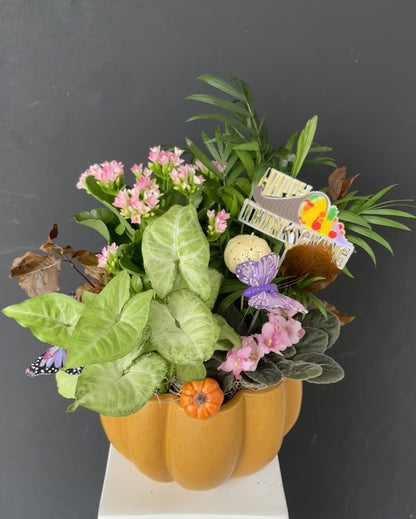 Pumpkin Garden