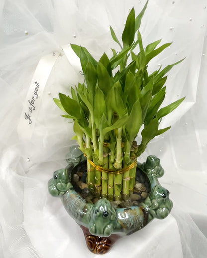 Bamboo#3